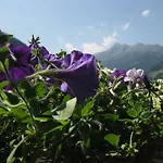 Haus Gamskogl Apartamento Neustift im Stubaital