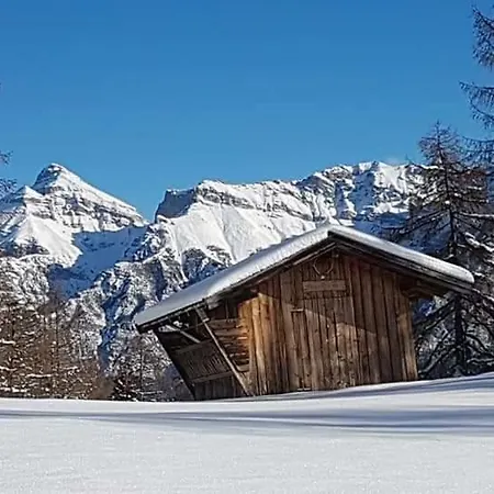 Haus Gamskogl شقة