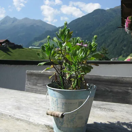 Haus Gamskogl 公寓 *