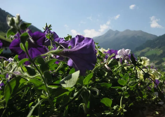 Haus Gamskogl Апартаменты Нойштифт-им-Штубайталь