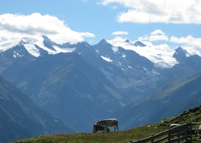 Haus Gamskogl Lejlighed Neustift im Stubaital